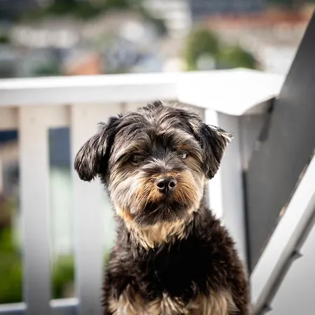 Privat Rom I Koselig Bergenshus Homestay *