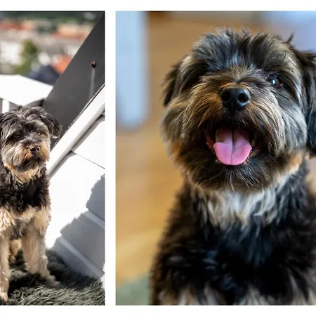 Privat Rom I Koselig Bergenshus