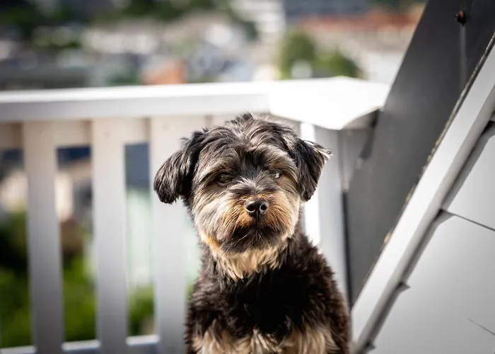 Privat Rom I Koselig Bergenshus 民宿 *