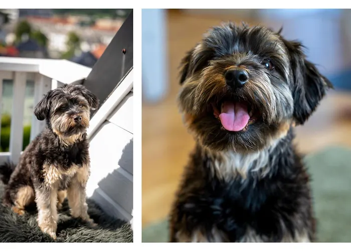 Privat Rom I Koselig Bergenshus